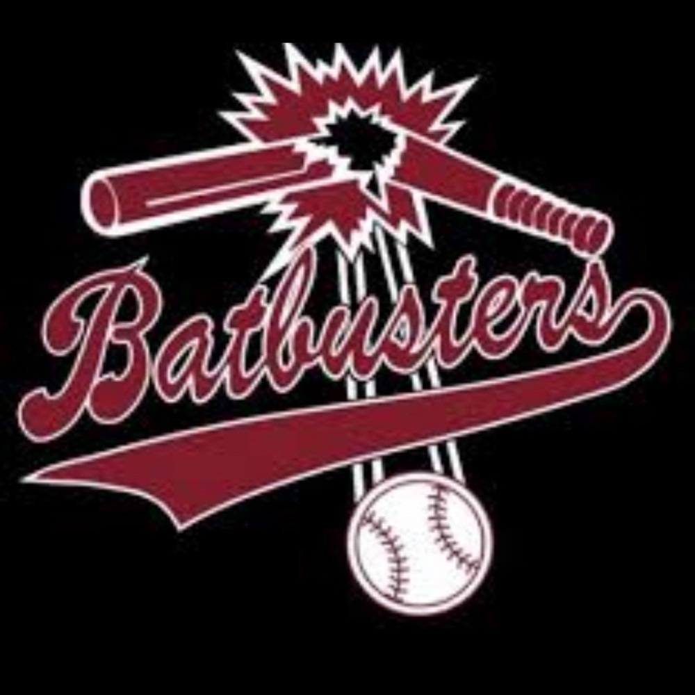 Meet your Posher, Batbusters